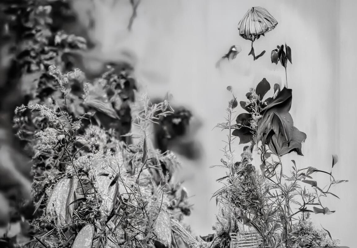 太阳队重建之路：精准交易与智慧引援策略解析(图3)